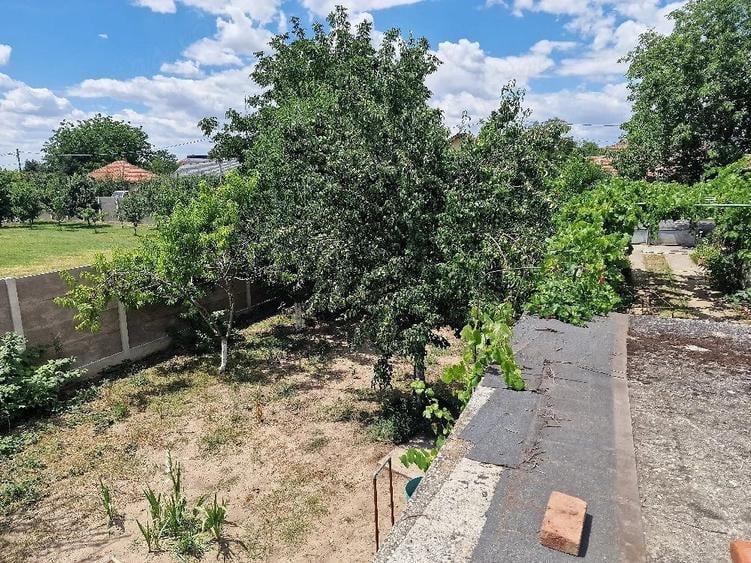 Casă cu Teren 1500 Mp în Ciarda Roșie