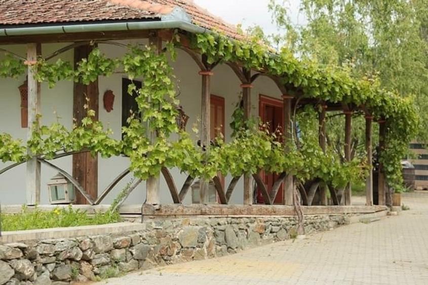Proprietate specială, de 1,000 mp, în Ghioroc