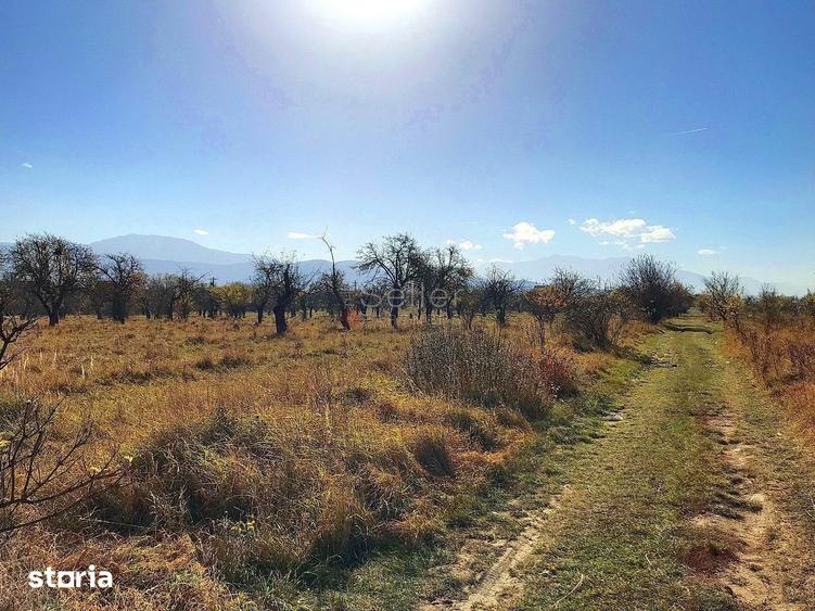 Teren de 6000 mp, în Ghimbav