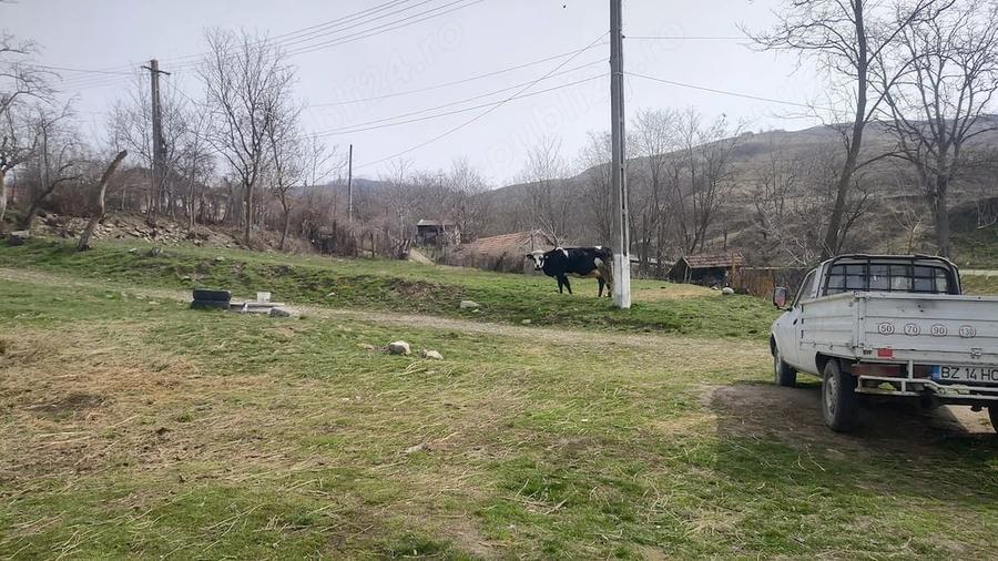 Teren de 2800 mp, în Racovițeni