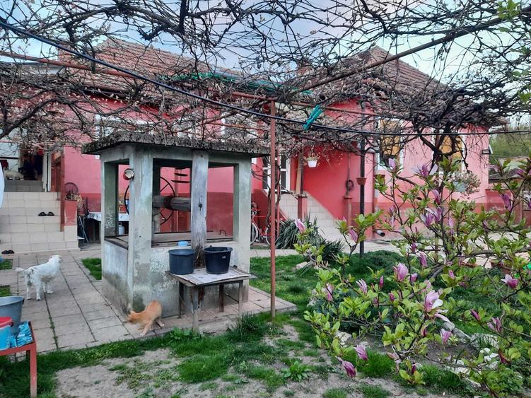 Casă cu 3 camere cu Teren 3505 Mp în Bretea Română