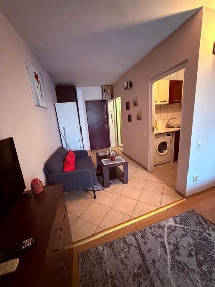 Garsonieră în Timișoara