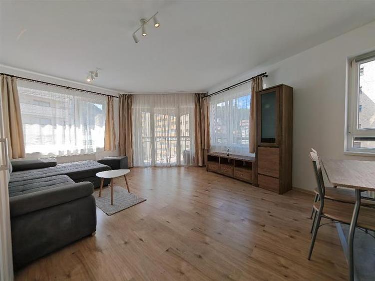 Inchiriem Apartament 2 Camere, Modern, Open Space, Racadau - 12