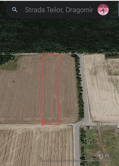 Teren de 4000 mp, în Dragomirești-Deal