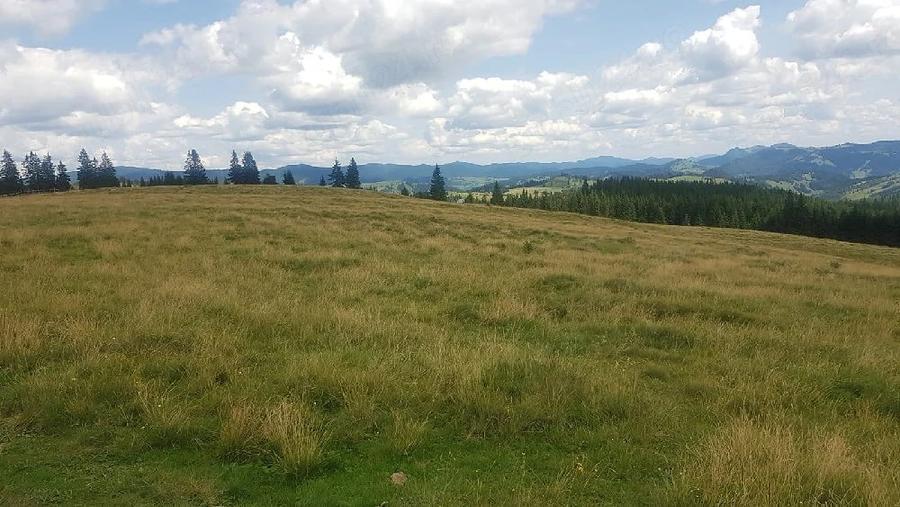 Teren de 160000 mp, în Breaza