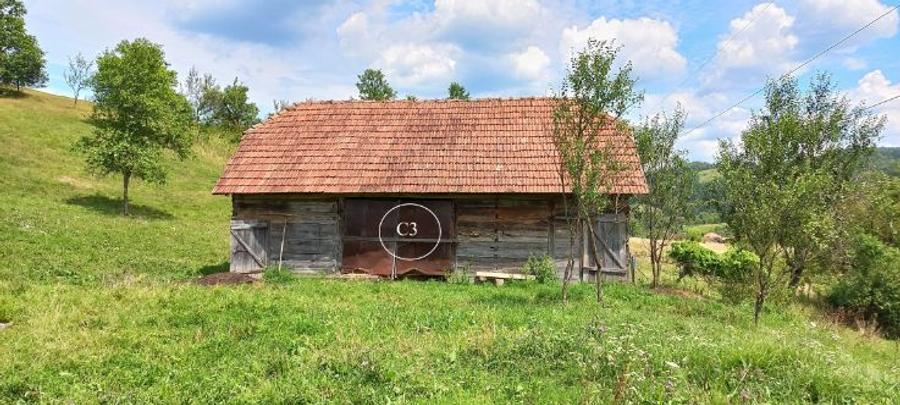 Teren agricol intravilan de 8644 mp, în Valea Bradului
