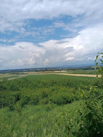 Casă cu Teren 1300 Mp în Tărcaia