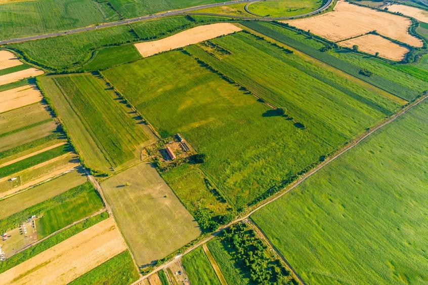 Teren agricol extravilan de 500000 mp, în Bujac