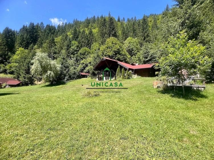 Casă cu Teren 2560 Mp în Voineșița