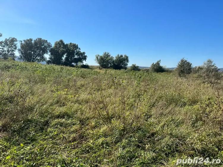Teren de 3300 mp, în Central