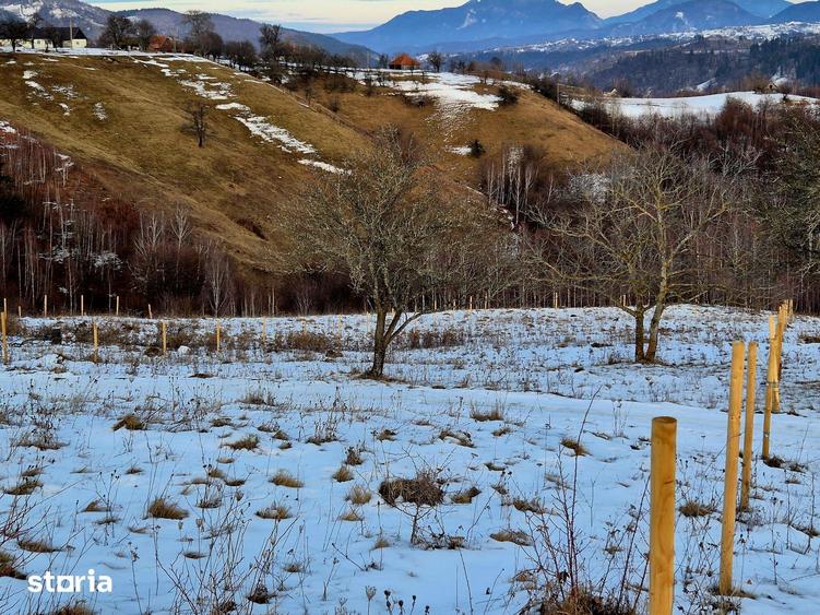 Sat Pe?tera Moeciu | Vedere panoramica Bucegi & Piatra Craiului - 1