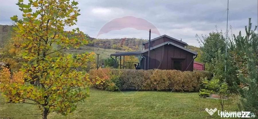 Teren 7160 mp/PUZ/cabana-ideal pentru proiect turistic/gl... - Tarlungeni (Brasov) - 17