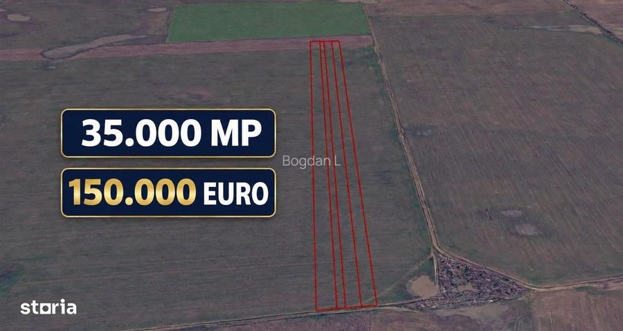 Teren extravilan arabil de vanzare - 35.000 mp - Dascalu, Ilfov