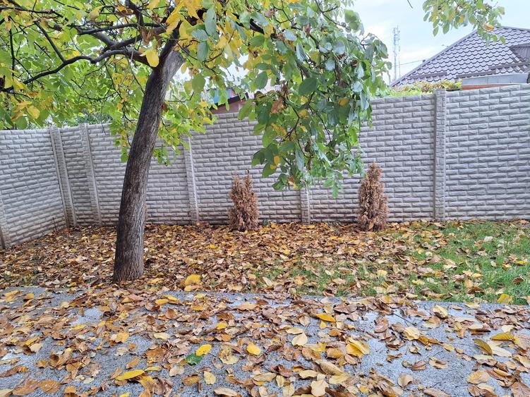 Duplex cu 5 camere cu Canalizare în Chitila