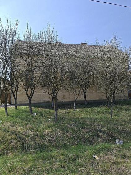 Casa in Varia? - 1