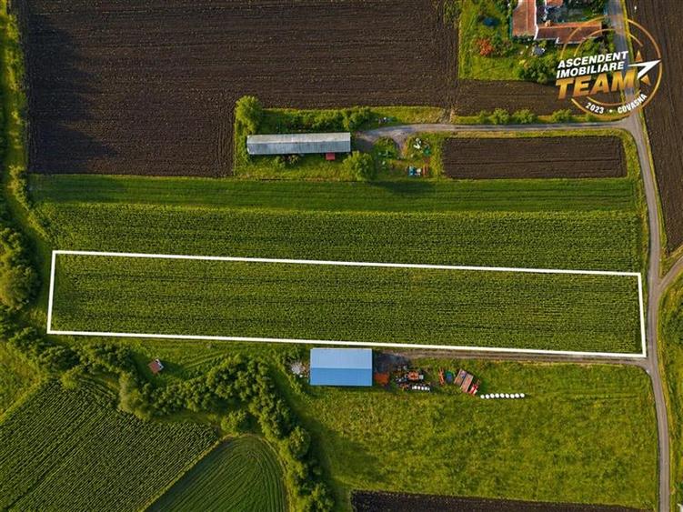 Teren intravilan de 5800 mp, în Dobolii de Jos