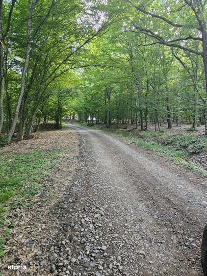 Teren extravilan, panorama deosebita intre Corunca si Bozeni,16.900 mp - 3