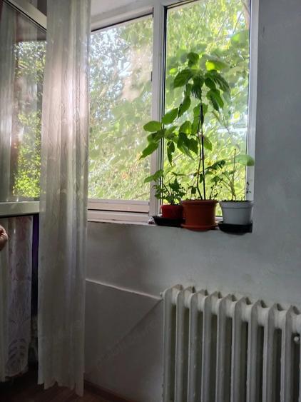 Garsonieră nedecomandată în Nicolina