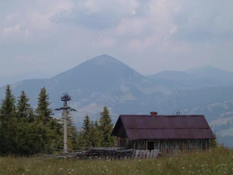 Teren de 5000 mp, în Central