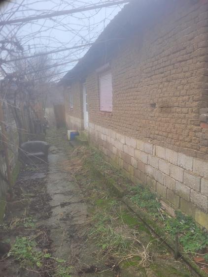 Casa. la tara - 2