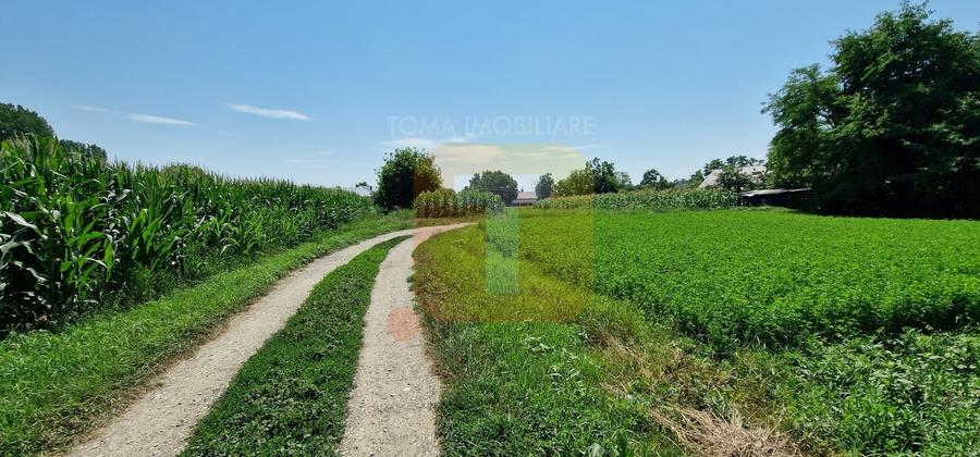 Teren Construcții intravilan de 4133 mp, în Girov
