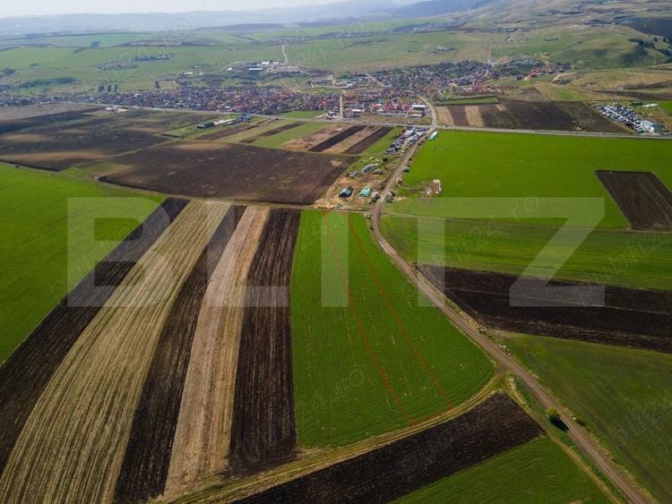 Teren Construcții extravilan de 8000 mp, în Copăceni