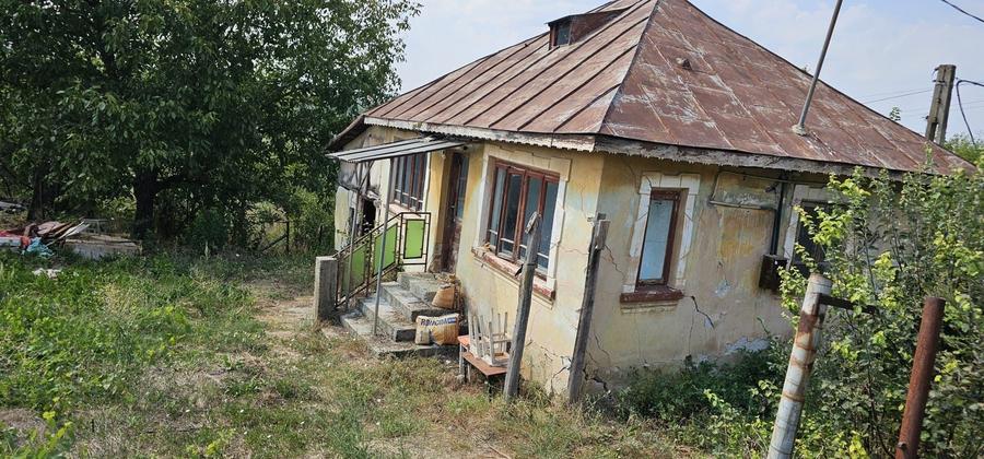 Teren de 8000 mp, în Goiești