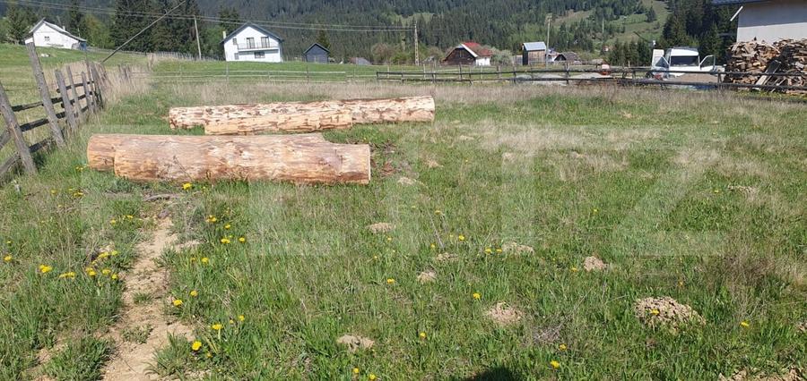 Teren Construcții intravilan de 979 mp, în Vatra Dornei