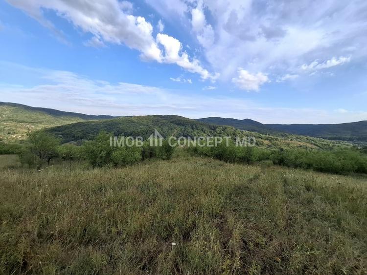Teren agricol extravilan de 16189 mp, în Șoimari