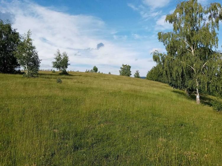 Teren de 22000 mp, în Luncani