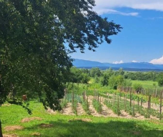 Casă cu Teren 7661 Mp în Șomănești