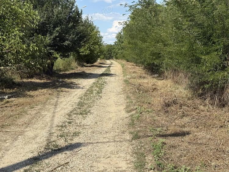 Teren de 350 mp, în Central