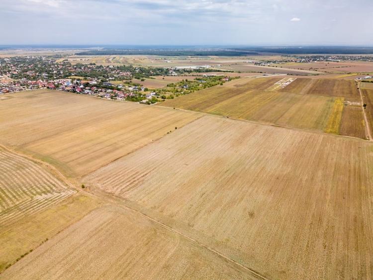 Teren Construcții intravilan de 7500 mp, în Dascălu
