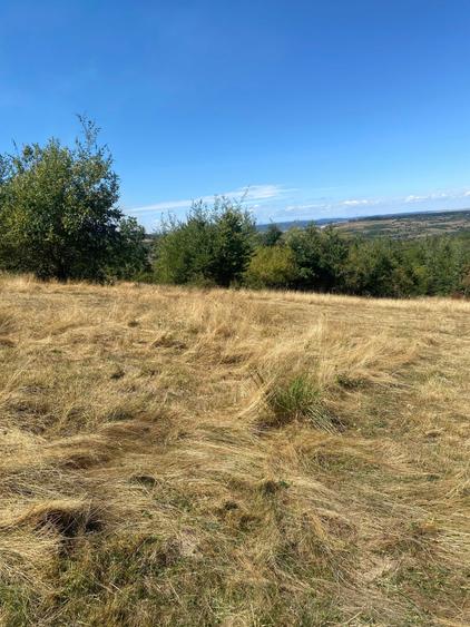 Vand o parcela teren 1600 mp in Cisnadioara ,prelungire la strada Ciresilor - 4