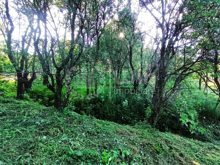 Teren Construcții intravilan de 1340 mp, în Gheorghieni