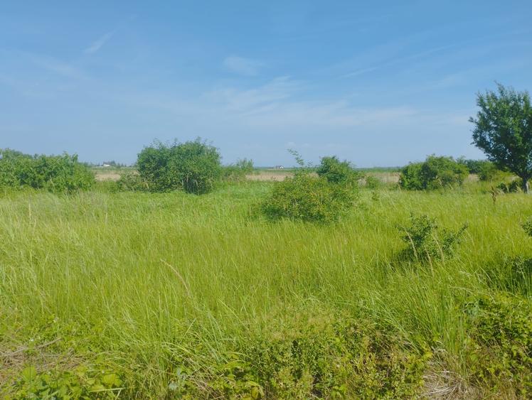 Teren Construcții intravilan de 750 mp, în Tărtășești