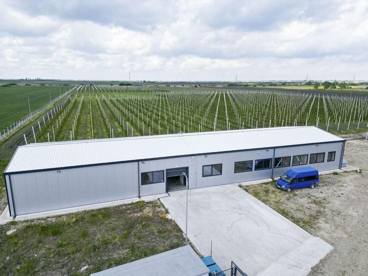 Teren agricol extravilan de 100000 mp, în Exterior Vest