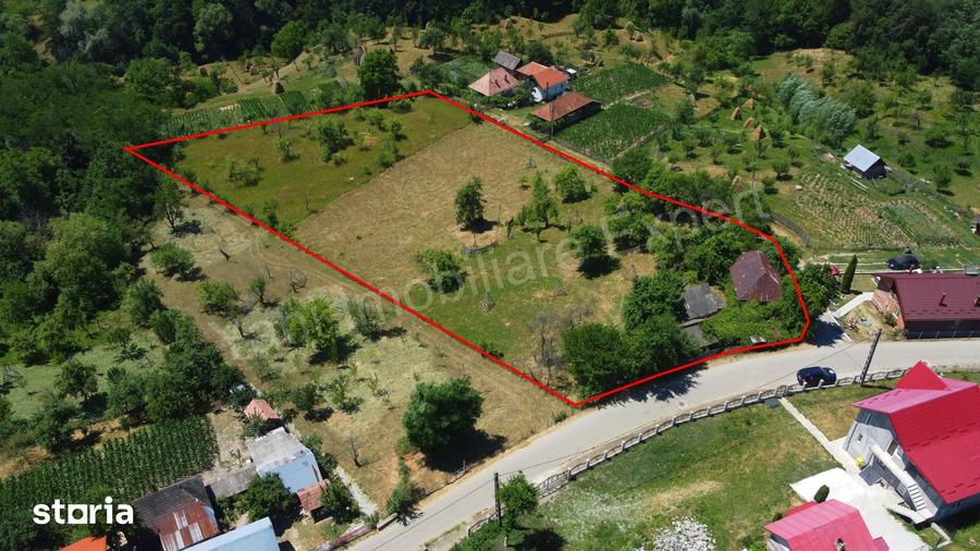Teren de 6041 mp, în Cicănești