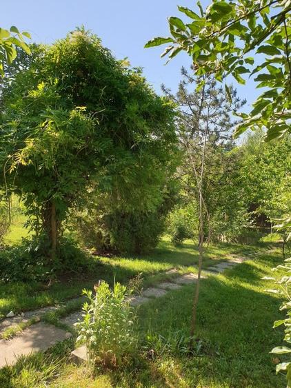 Casă individuală cu 6 camere cu Teren 1800 Mp în Snagov