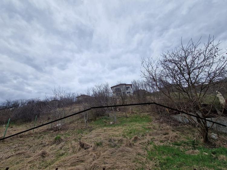 Teren agricol intravilan de 584 mp, în Dezmir