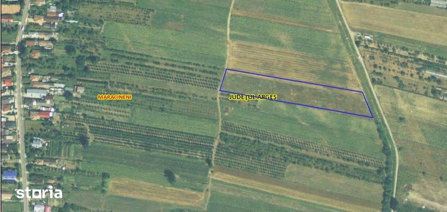 Teren de 7545 mp, în Mărăcineni