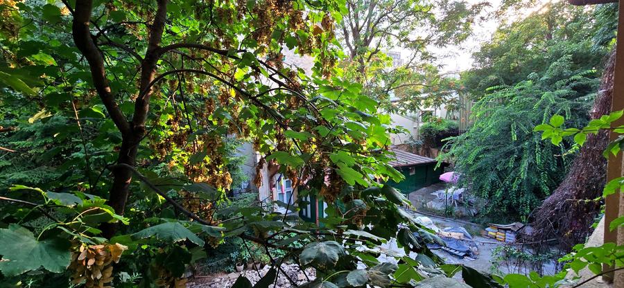 Apartament 2 camere | Pitar Mos | Stil interbelic | Centrala proprie - 18