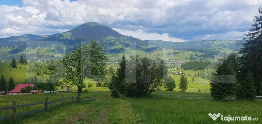 Casă cu 2 camere cu Teren 30000 Mp în Central