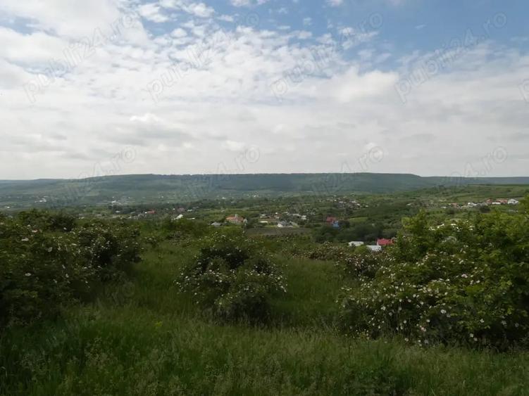 Casă cu 6 camere cu Teren 23000 Mp în Horodiștea