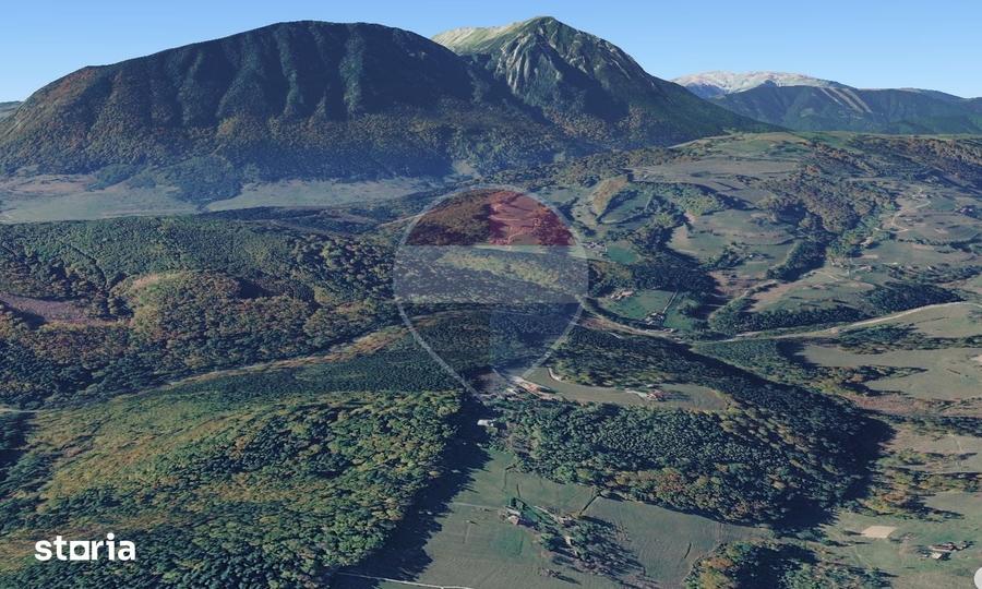 Teren extravilan Poiana Marului 1092mp, inconjurat de padure - 1
