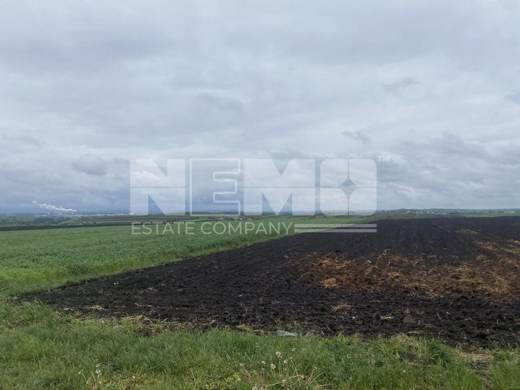 Teren agricol extravilan de 14100 mp, în Dornești