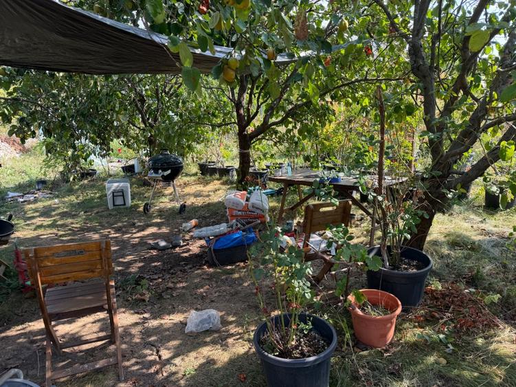 Teren Izvorani iesire comuna lac Snagov - 1