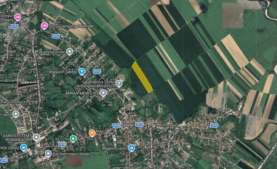 Teren agricol extravilan de 22000 mp, în Gruiu