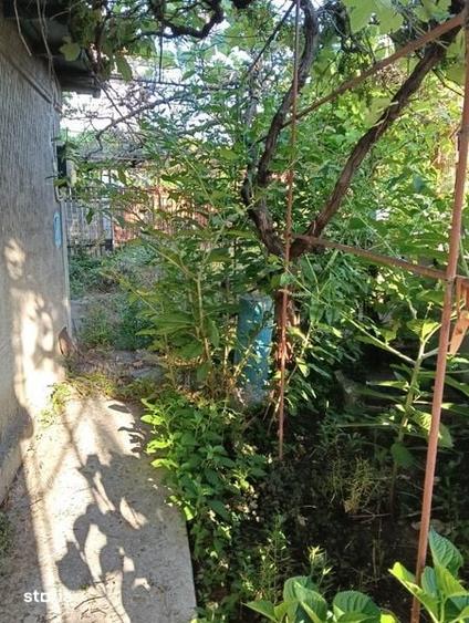 Navodari strada Pescarusului , vand teren 500 mp cu casa veche - 5