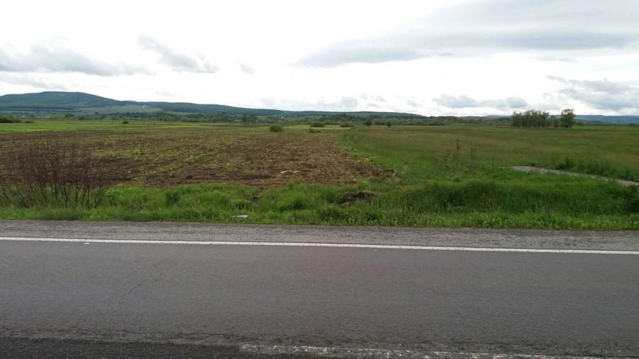 Teren agricol extravilan de 19000 mp, în Sud